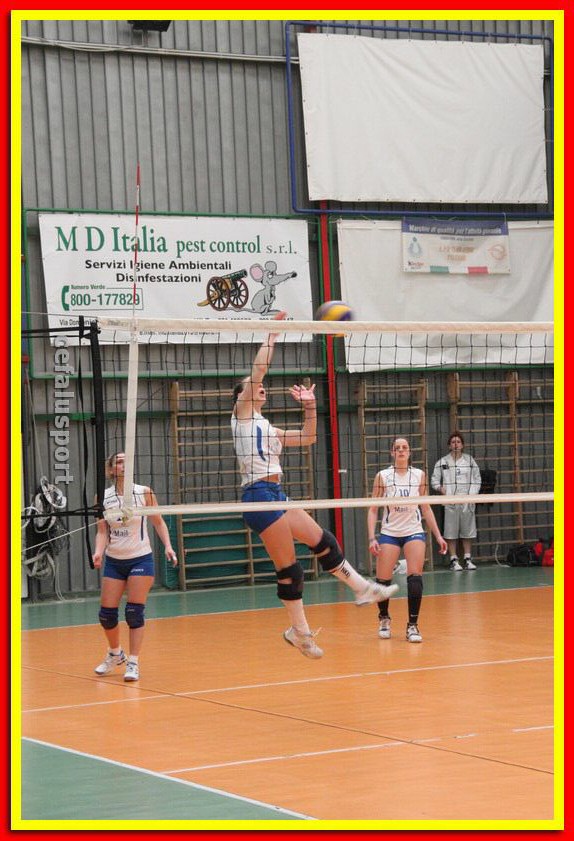 140223 cegap 221_tn.jpg